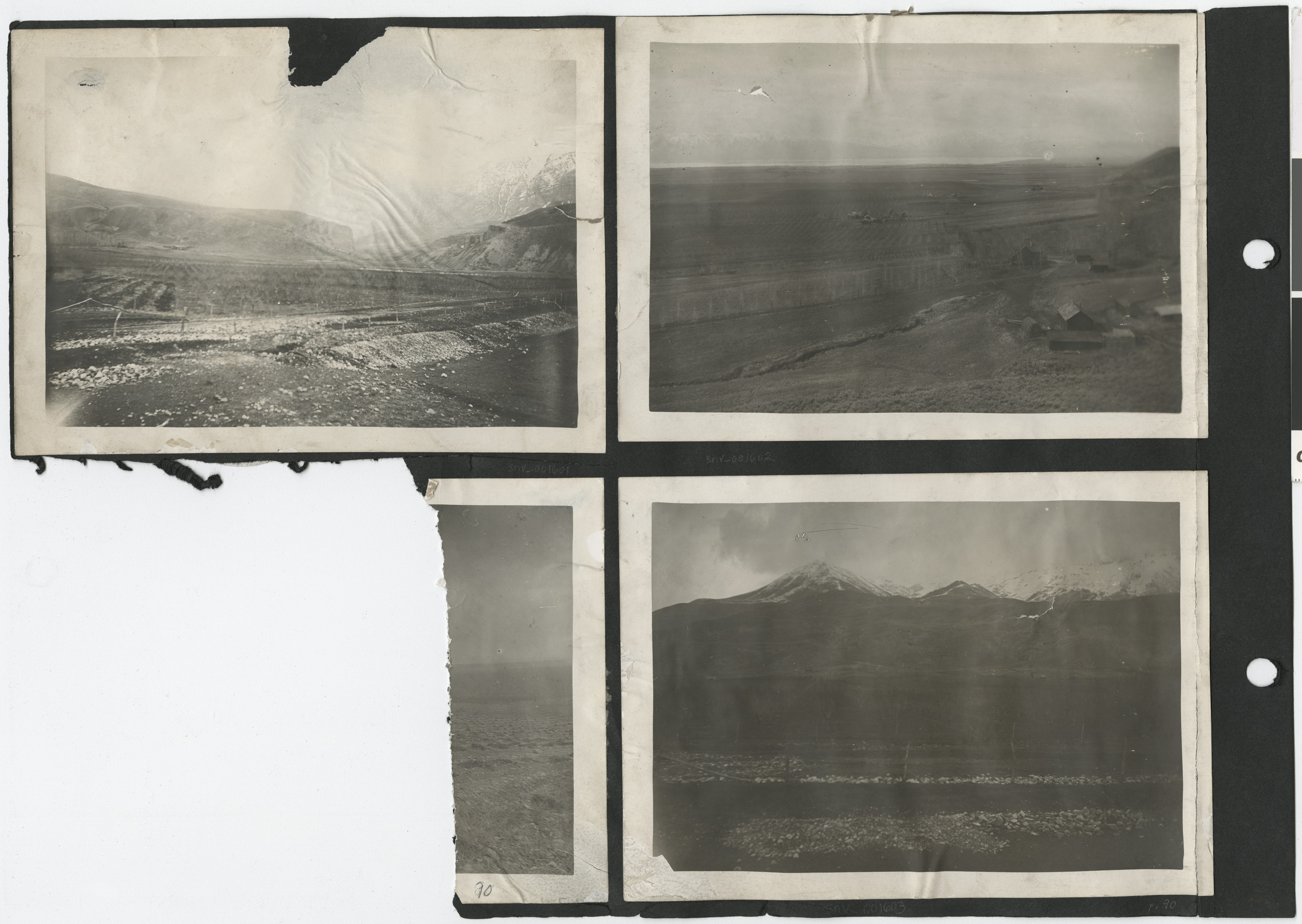 Photograph album 2, Ferron-Bracken Collection, circa 1905-1935, page 36
