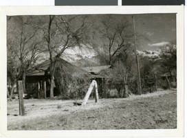 Photograph of an Old Ranch House, Nevada, circa 1938