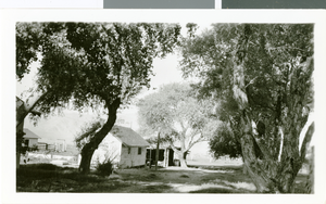 Photograph of Corn Creek Ranch, Nevada, circa 1938