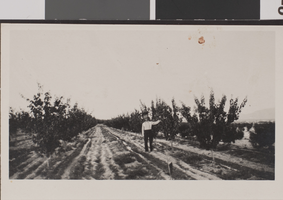 Photograph of McGriff Ranch, circa early 1900s