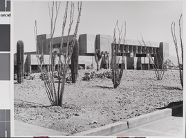 Photograph of Juanita Greer White Life Science building, Las Vegas, circa 1970s