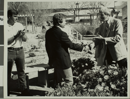 Photograph of the Xeriscape Demonstration Garden, University of Nevada, Las Vegas, circa 1970s-1980s