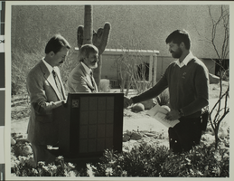 Photograph of the Xeriscape Demonstration Garden, University of Nevada, Las Vegas, circa 1970s-1980s