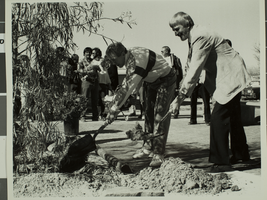 Photograph of the Xeriscape Demonstration Garden, University of Nevada, Las Vegas, circa 1970s-1980s