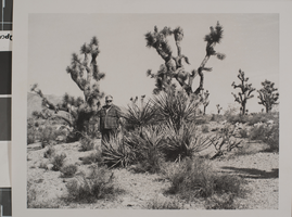 Photograph of William G. Bradley, Mojave County, Arizona, circa 1970s