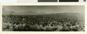 Photograph of a vista near a ranch, Southern Nevada, circa early 1900's