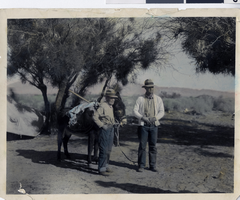 Photograph of prospector and loaded burro, Colorado, 1929