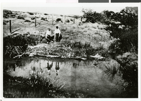 Photograph of two men at a spring, Las Vegas, circa early 1900