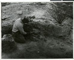 Photograph of Pueblo Grande de Nevada, circa mid to late 1920s