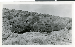 Photograph of Valley of Fire, Nevada, circa 1930s-1950s