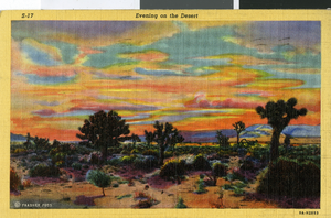 Postcard of the southwest desert, circa 1930s to 1950s