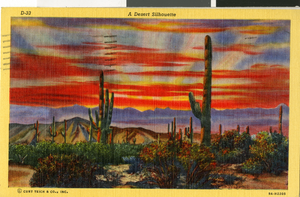 Postcard of the southwest desert, circa 1930s to 1950s