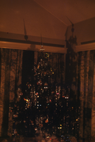 Slide of a Christmas tree, circa 1950s