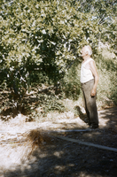 Slide of Frank Buol, 1955
