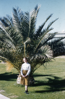 Slide of an unidentified woman, November 26, 1953