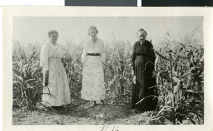 Photograph of Maurine Wilson, her grandmother, and another woman in a cornfield, circa early 1900s