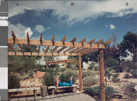 Photograph of Desert Landscape Garden, University of Nevada, Las Vegas, circa 1980s