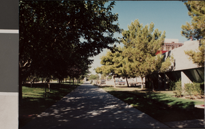 Photograph of campus sidewalk, University of Nevada, Las Vegas, October 4, 1991