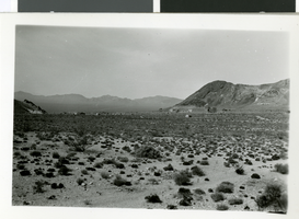 Photograph of Death Valley, California, circa 1930s to 1950s
