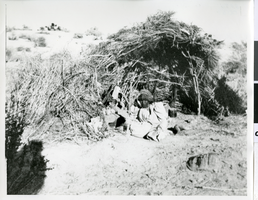 Photograph of a Paiute or Shoshone woman seated in front of a Karnee dwelling, Pahrump Valley, Nevada, circa 1880s-1910s