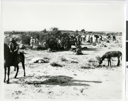 Photograph of a group of people seeking shade from a large bush, Pahrump Valley or Ash Meadows, Nevada, circa 1880s-1910s