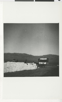 Photograph of Lazy 88 Ranch in Pahrump, NV, circa 1954