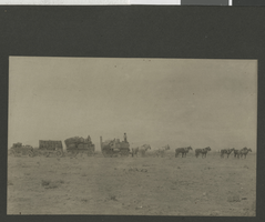 Photograph of hauling of supplies from Manville to Beatty, Nevada, circa early 1900s