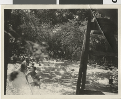 Photograph of swimming pool at Old Ranch, Las Vegas, 1920s