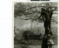 Photograph of women in a cemetery, Genoa, Nevada, 1930-1940