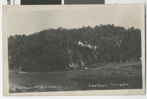 Postcard of Stewart Ranch, Las Vegas (Nev.), 1910s