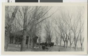 Photograph of Eglington Ranch near Las Vegas (Nev.), 1910-1920