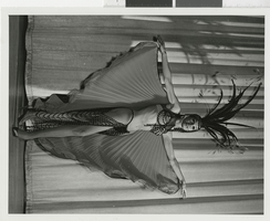 Photograph of Minsky's Burlesque dancer at the Aladdin Hotel and Casino, Las Vegas, Nevada, 1972