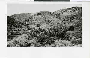 Photograph of a mining operation, Lincoln County (Nev.), circa 1916
