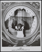 Jinx the Super Chimp: photographs