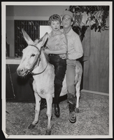 Actor Fred MacMurray: photographs