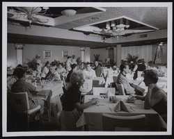 The Garden Rom, coffee shop at the Sands Hotel: photographs