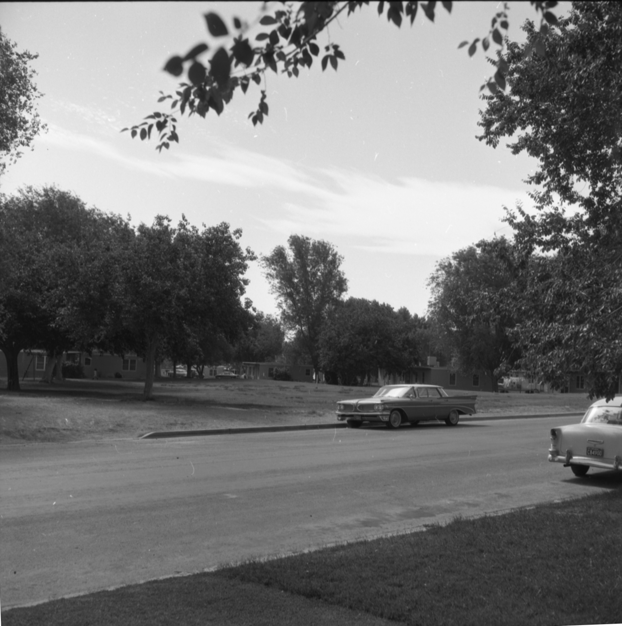 Landscape, Image 03