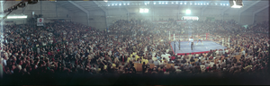 Sugar Ray Leonard vs. Wilfred Benitez fight at Caesars Palace, Las Vegas, Nevada: panoramic photograph