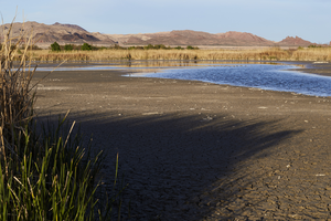 Clark County Wetlands Park, Clark County, Nevada: digital photograph