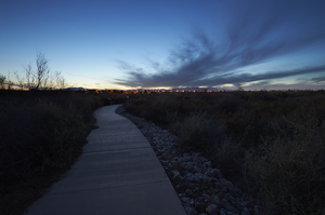 Clark County Wetlands Park, Clark County, Nevada: digital photograph
