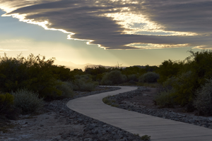 Clark County Wetlands Park, Clark County, Nevada: digital photograph