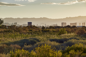 Clark County Wetlands Park, Clark County, Nevada: digital photograph