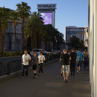 Tourist on Las Vegas Boulevard, Las Vegas, Nevada: digital photograph
