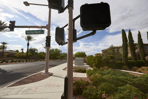 Landscaping at Red Rock Ranch Road and  West Sahara Avenue looking south, Las Vegas, Nevada: digital photograph