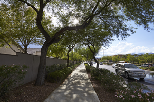 Landscaping along West Sahara Avenue, Las Vegas, Nevada: digital photograph