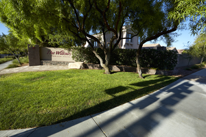 Lush landscaped sidewalk on West Sahara Avenue, Las Vegas, Nevada: digital photograph
