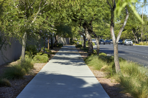 Lush landscaped sidewalk on West Sahara Avenue, Las Vegas, Nevada: digital photograph