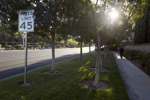 Landscaping along West Sahara Avenue looking west, Las Vegas, Nevada: digital photograph