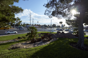 Monument landscaping for The Lakes on the corner of South Durango Drive and West Sahara Avenue, Las Vegas, Nevada: digital photograph