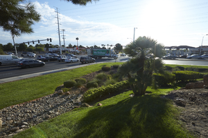 Monument landscaping for The Lakes on the corner of South Durango Drive and West Sahara Avenue, Las Vegas, Nevada: digital photograph